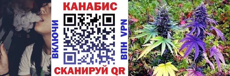 Бошки Шишки семена  купить   Сосенский 